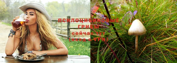 МДПВ Михайловка