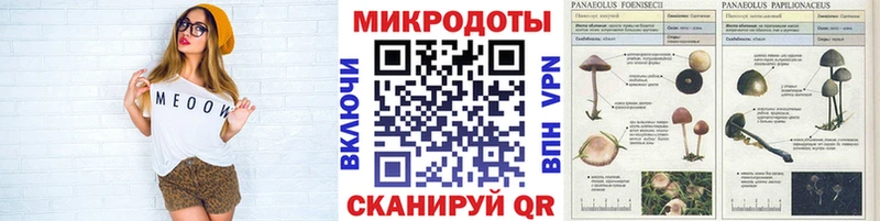 Галлюциногенные грибы Psilocybe Иркутск